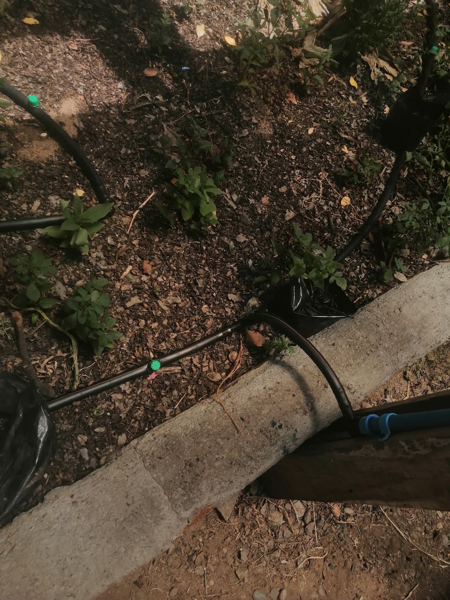 Aguas Grises - Escuela Capilla de Caleu - imagen 2