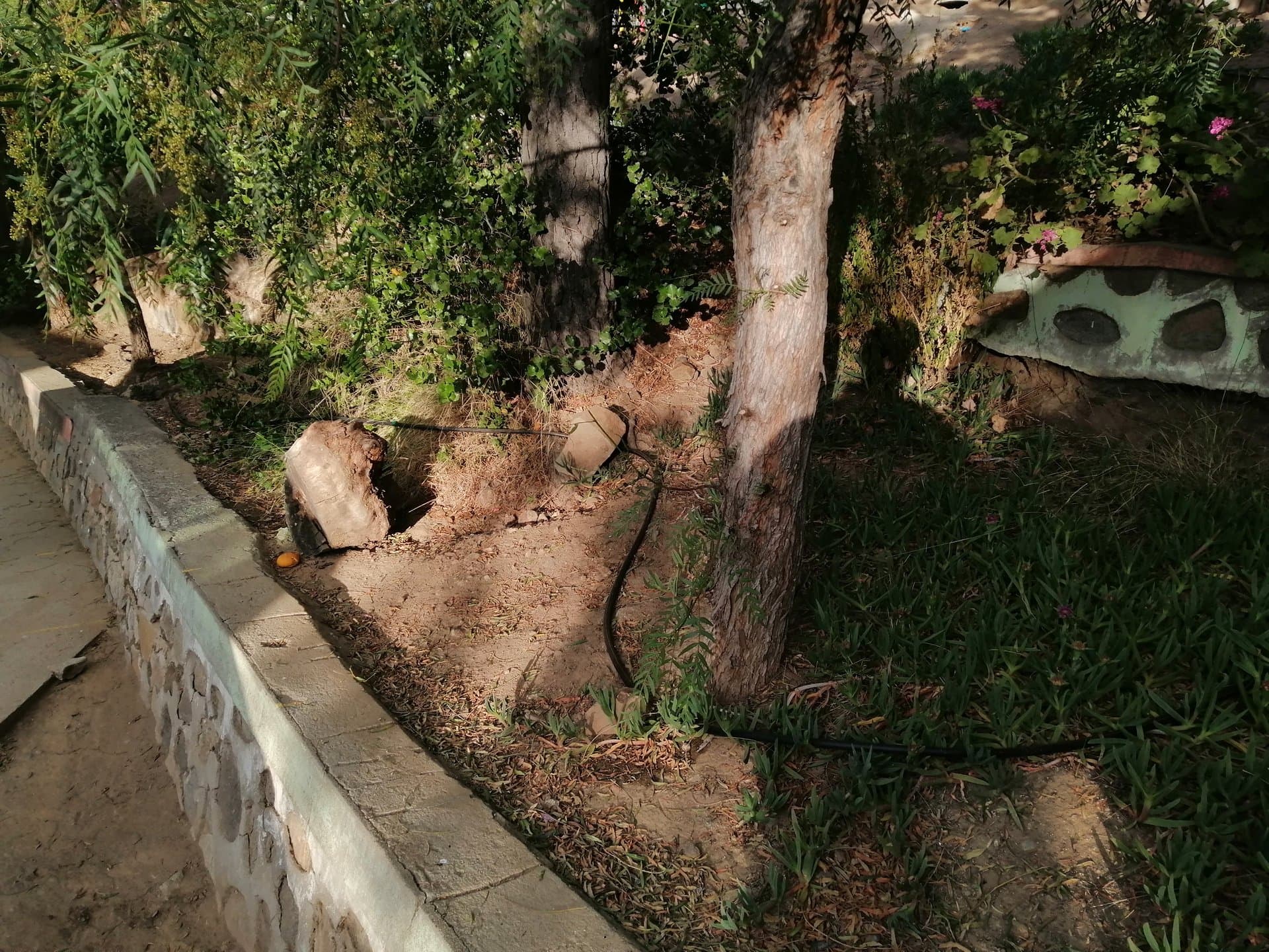 Aguas Grises - Escuela Capilla de Caleu - imagen 4