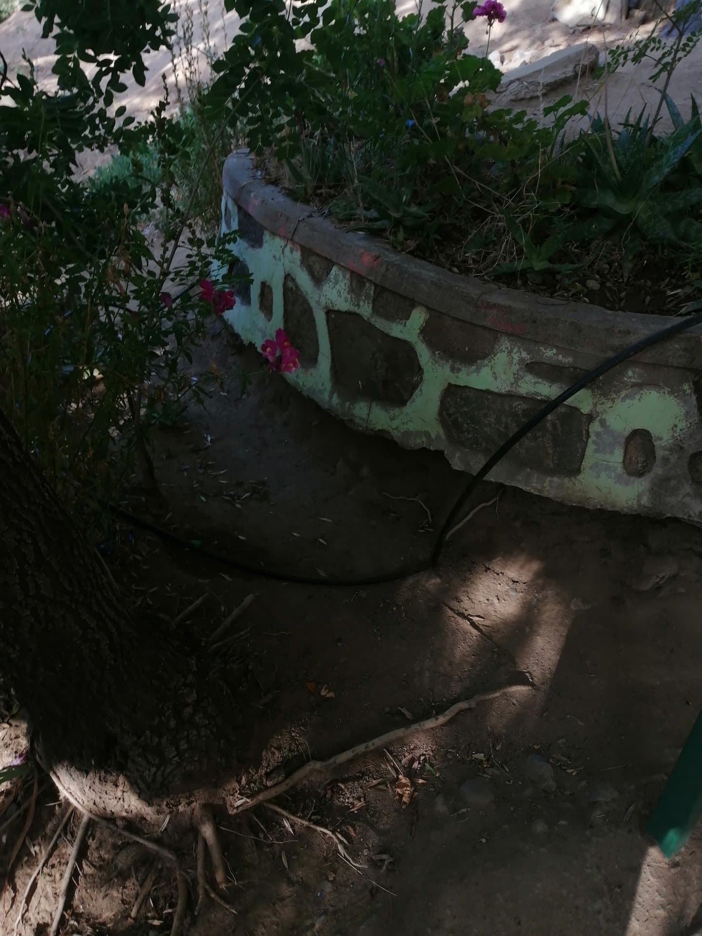 Aguas Grises - Escuela Capilla de Caleu - imagen 6