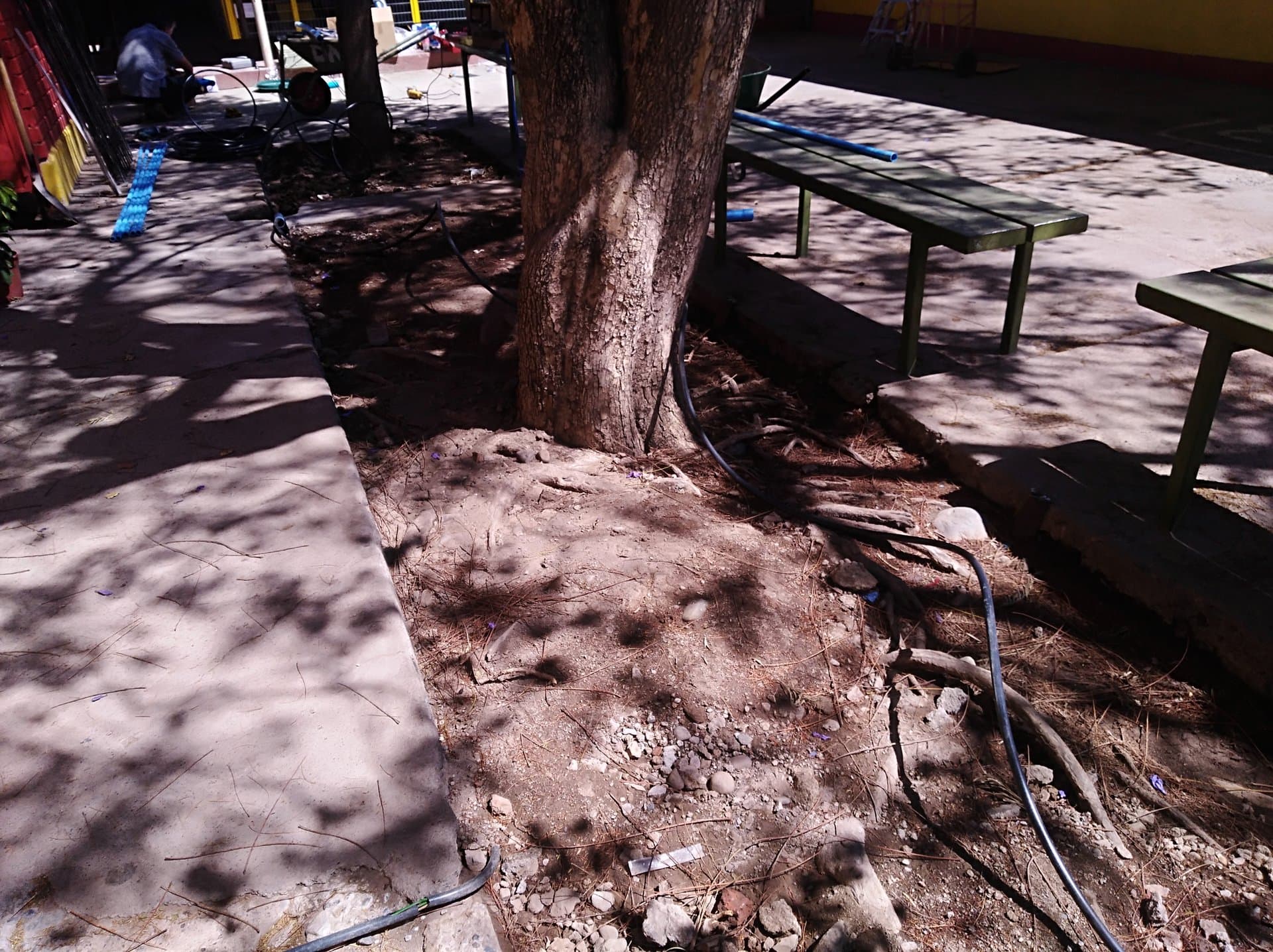 Aguas Grises - Escuela España - imagen 3