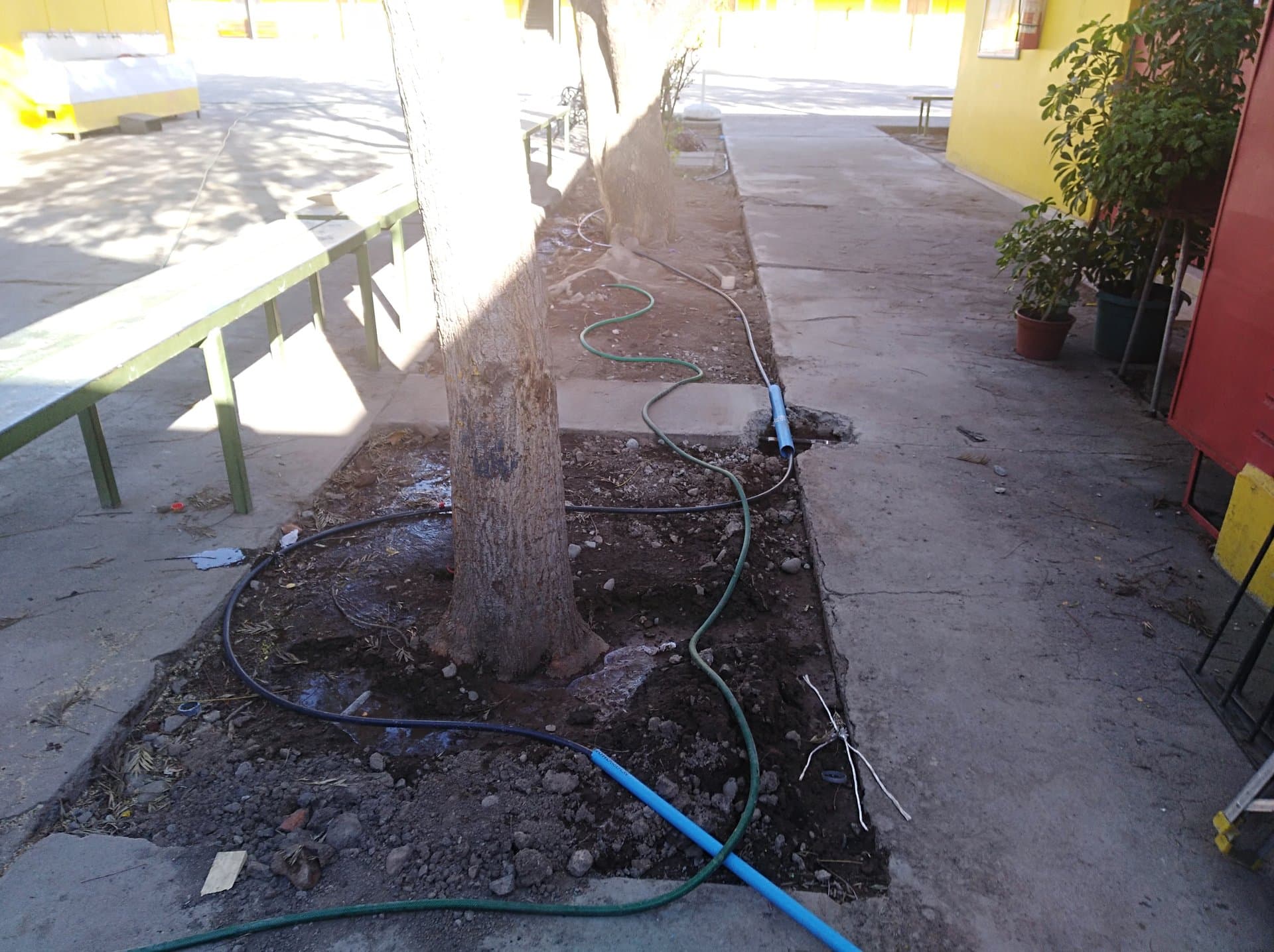 Aguas Grises - Escuela España - imagen 5