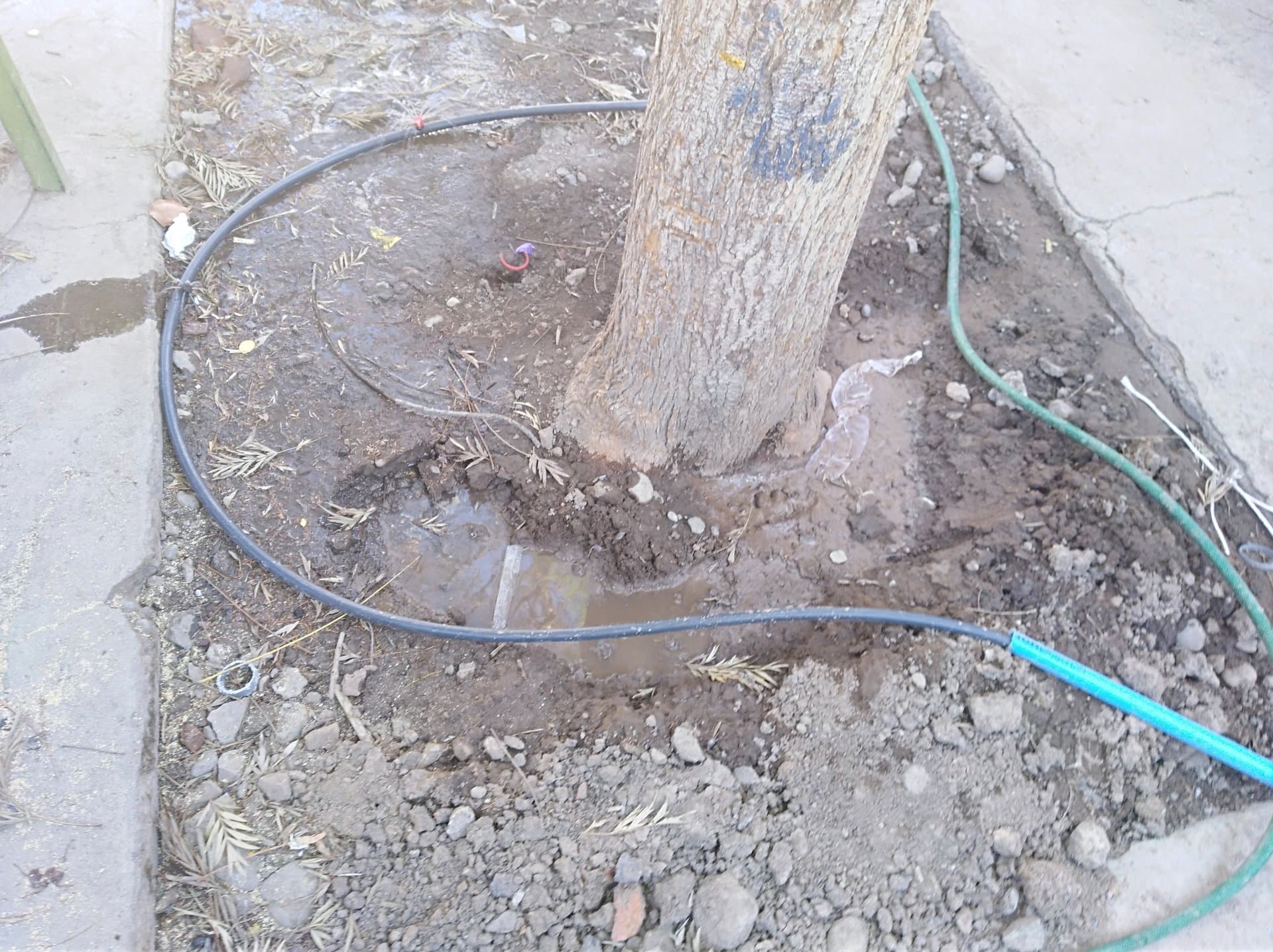 Aguas Grises - Escuela España - imagen 6