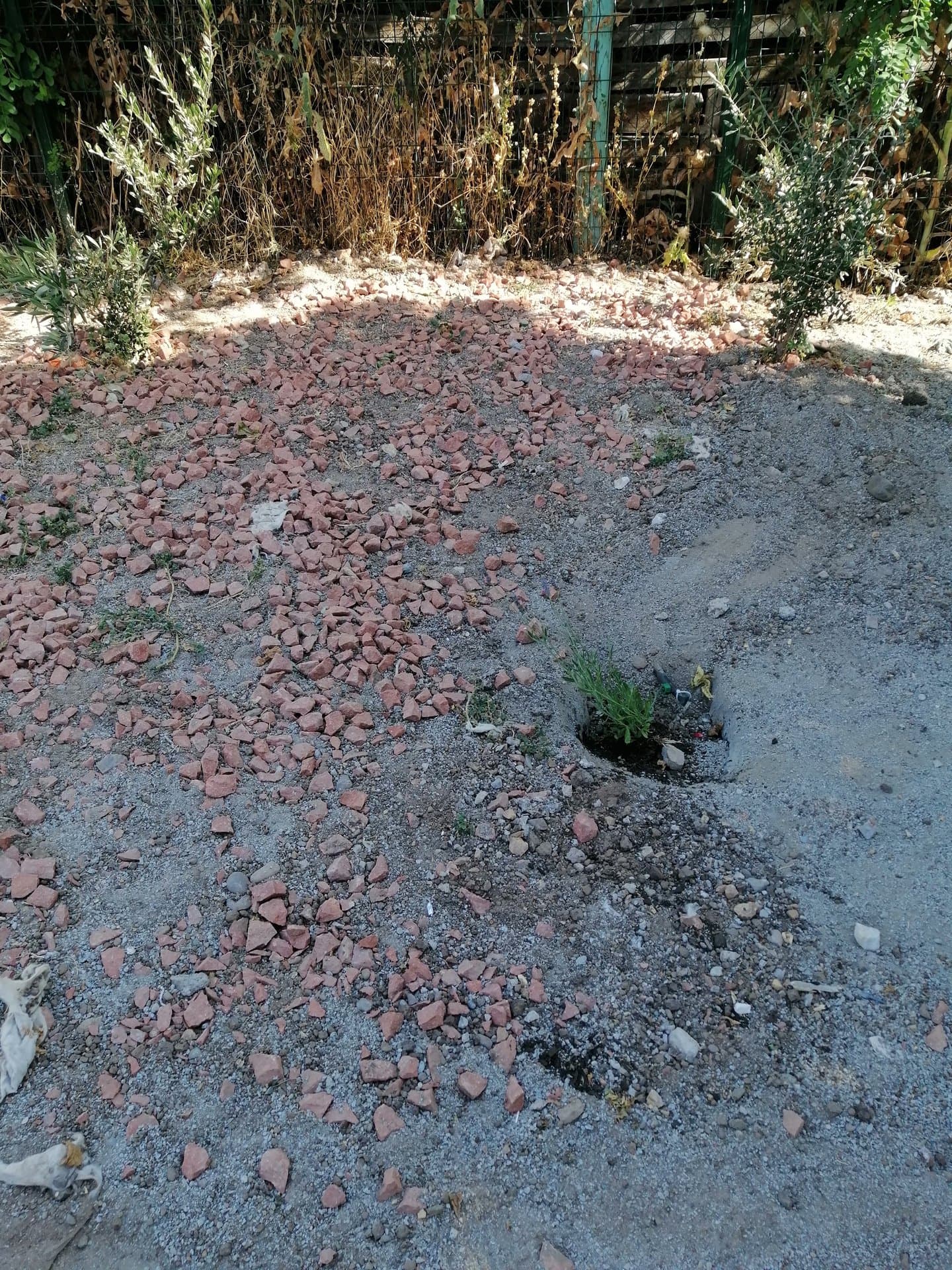 Aguas Grises - Escuela Santa Matilde - imagen 3