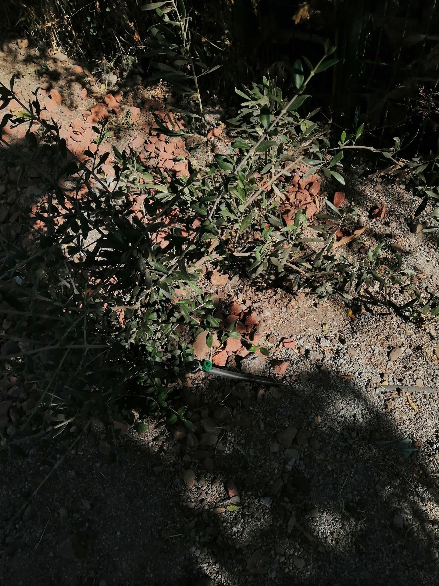 Aguas Grises - Escuela Santa Matilde - imagen 4