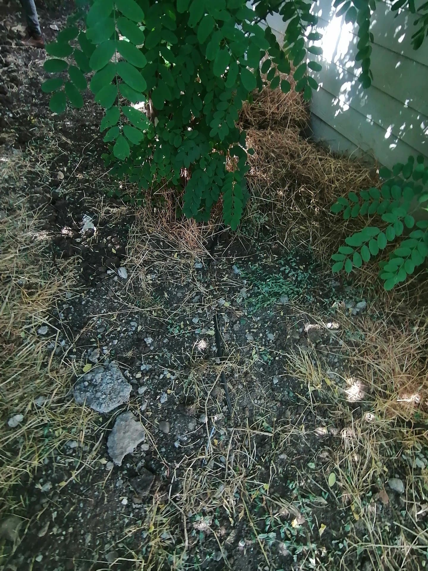 Aguas Grises - Escuela Santa Matilde - imagen 6