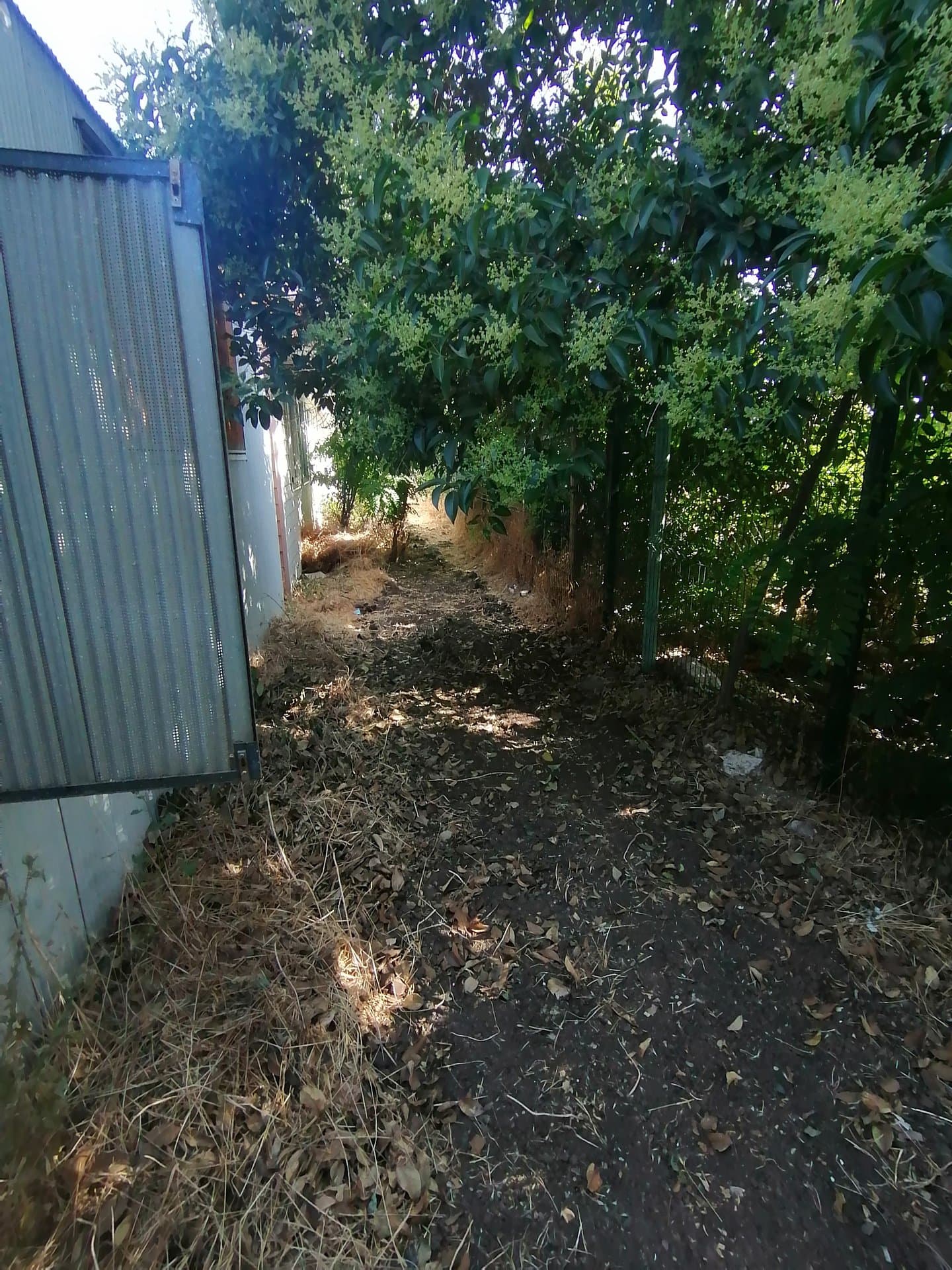 Aguas Grises - Escuela Santa Matilde - imagen 7