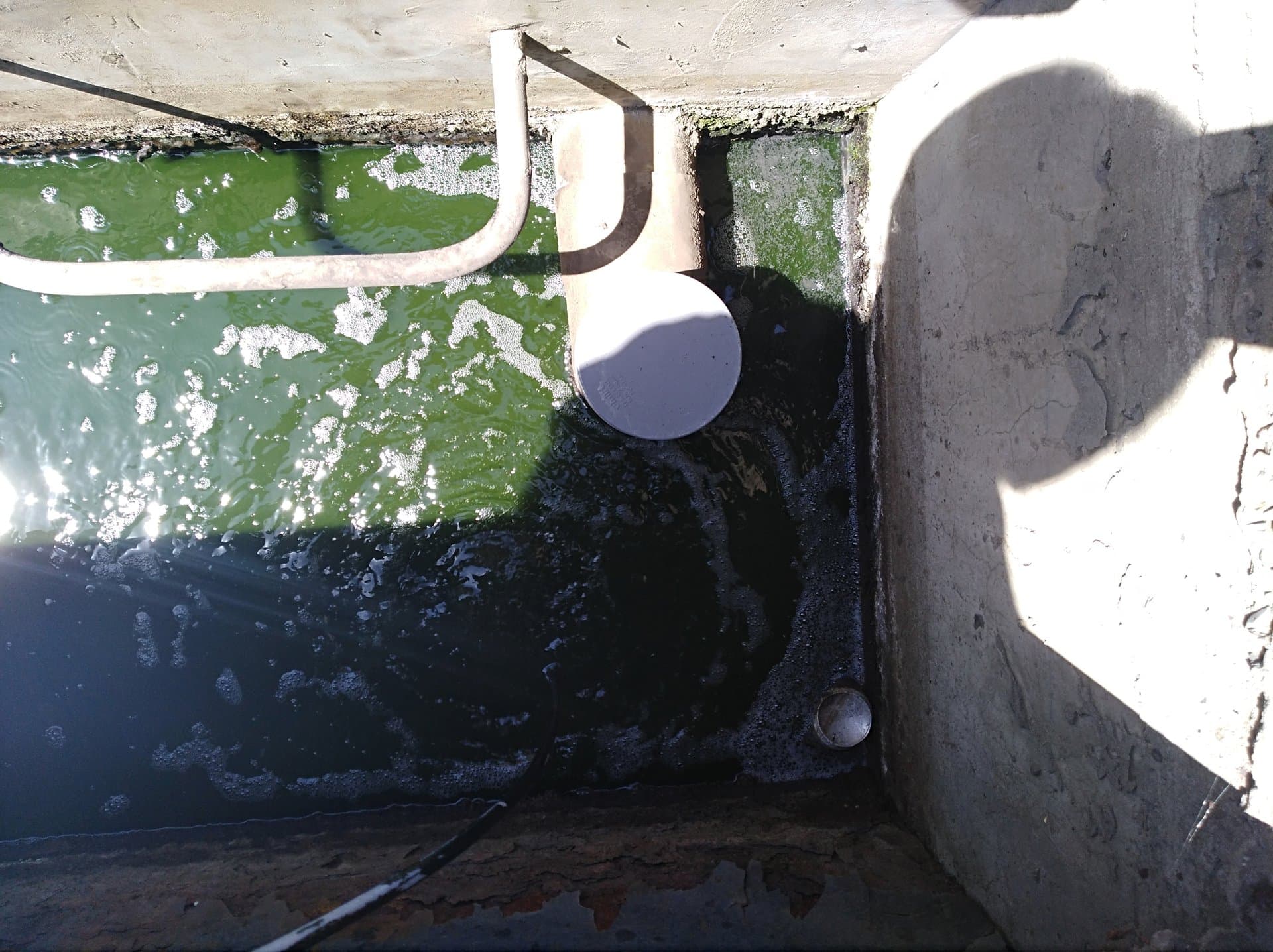 Ozono - COPEC - imagen 2