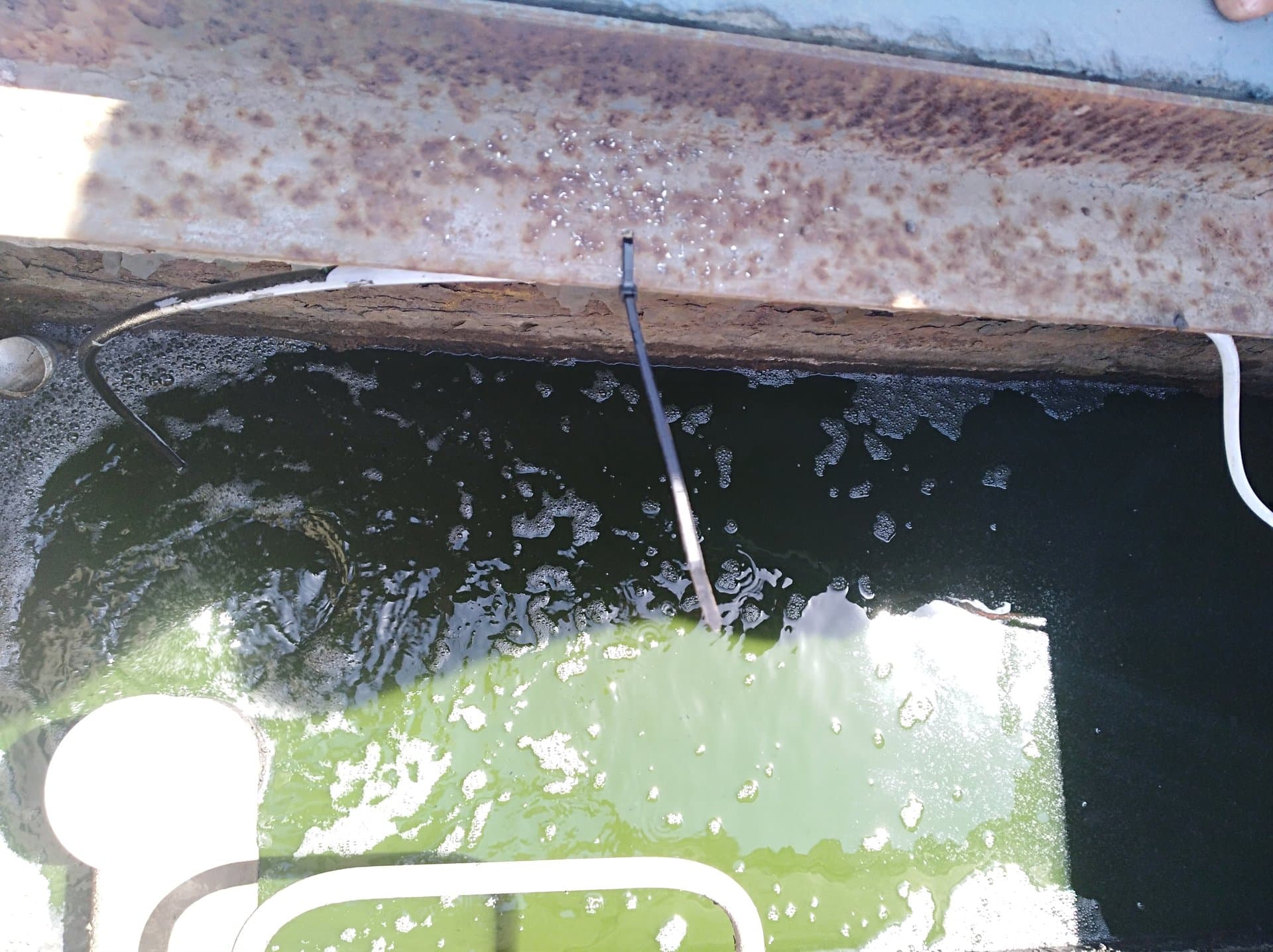 Ozono - COPEC - imagen 3