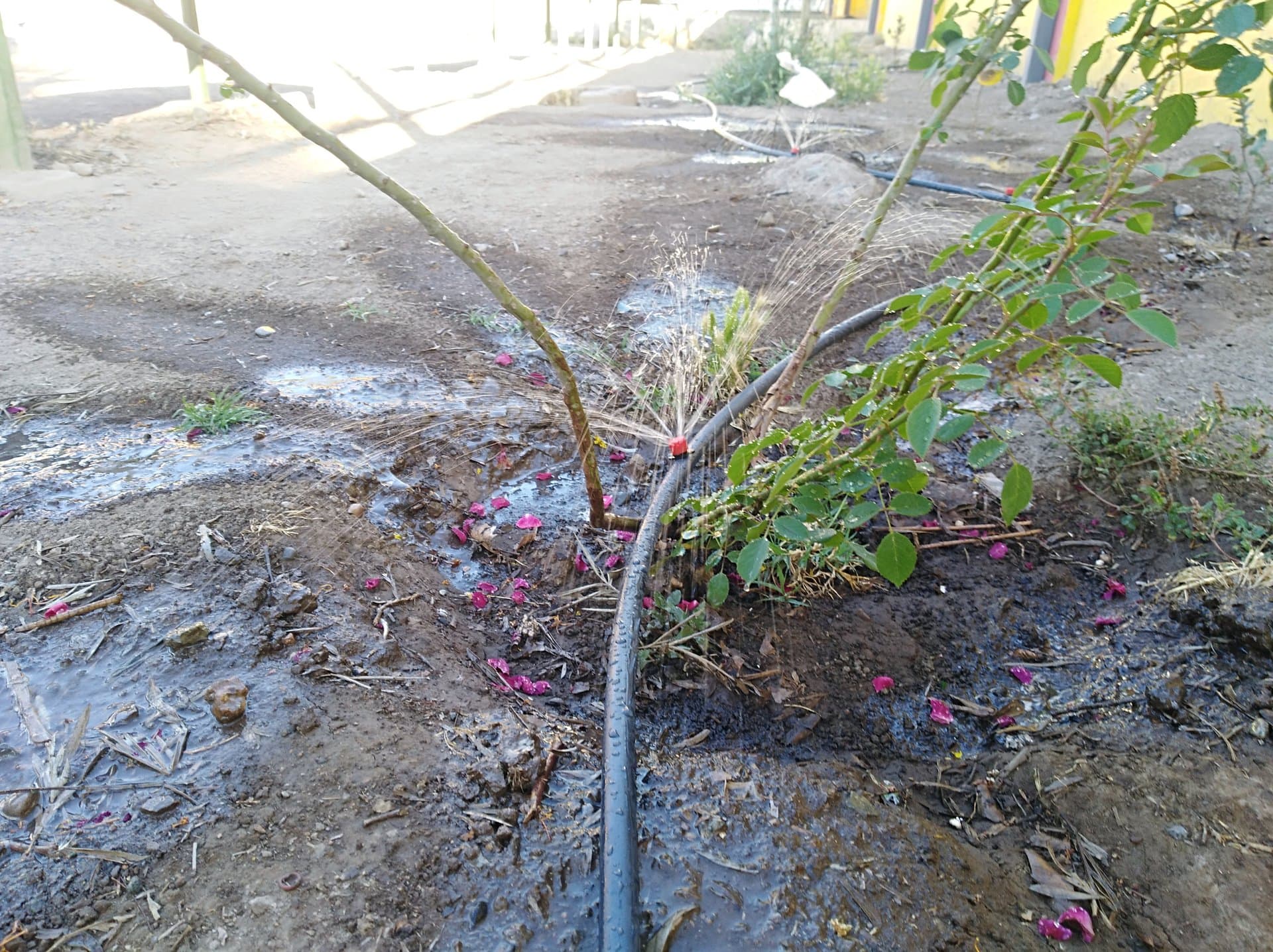 Reciclaje de Aguas Grises